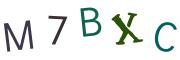 圖片的 CAPTCHA