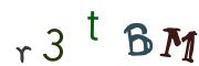 圖片的 CAPTCHA