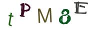 圖片的 CAPTCHA