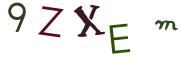 圖片的 CAPTCHA