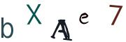 圖片的 CAPTCHA
