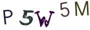 圖片的 CAPTCHA