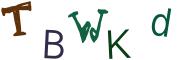 圖片的 CAPTCHA