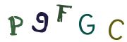 圖片的 CAPTCHA