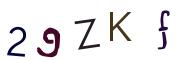圖片的 CAPTCHA
