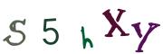 圖片的 CAPTCHA