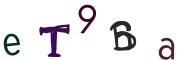 圖片的 CAPTCHA