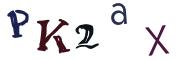 圖片的 CAPTCHA