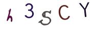 圖片的 CAPTCHA