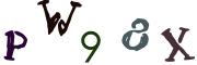 圖片的 CAPTCHA
