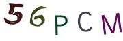圖片的 CAPTCHA