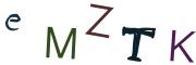 圖片的 CAPTCHA