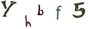 圖片的 CAPTCHA
