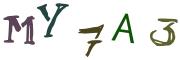 圖片的 CAPTCHA