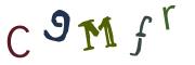 圖片的 CAPTCHA