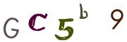 圖片的 CAPTCHA