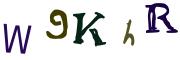 圖片的 CAPTCHA