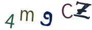 圖片的 CAPTCHA