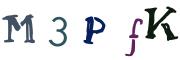 圖片的 CAPTCHA