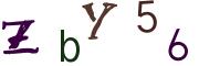 圖片的 CAPTCHA