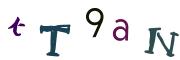 圖片的 CAPTCHA