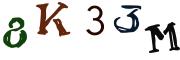 圖片的 CAPTCHA