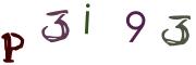 圖片的 CAPTCHA