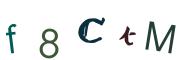 圖片的 CAPTCHA