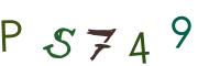 圖片的 CAPTCHA