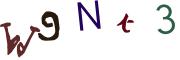 圖片的 CAPTCHA