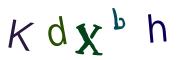 圖片的 CAPTCHA