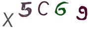 圖片的 CAPTCHA