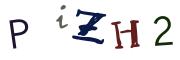 圖片的 CAPTCHA
