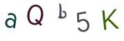 圖片的 CAPTCHA