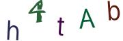 圖片的 CAPTCHA
