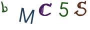 圖片的 CAPTCHA