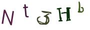 圖片的 CAPTCHA