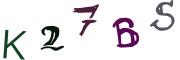 圖片的 CAPTCHA