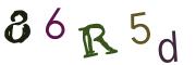 圖片的 CAPTCHA