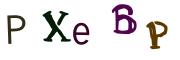 圖片的 CAPTCHA
