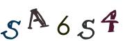 圖片的 CAPTCHA
