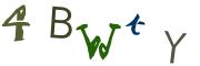 圖片的 CAPTCHA