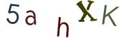 圖片的 CAPTCHA