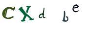 圖片的 CAPTCHA