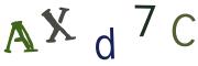 圖片的 CAPTCHA