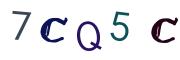 圖片的 CAPTCHA