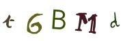 圖片的 CAPTCHA