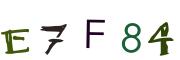 圖片的 CAPTCHA