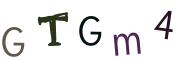 圖片的 CAPTCHA