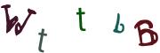 圖片的 CAPTCHA